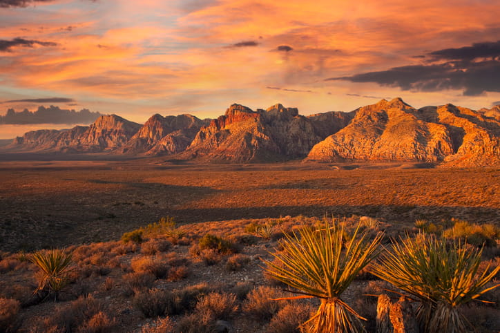 A view of Red Rock Canyon.