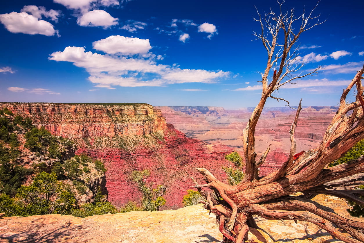 The Best Tours To Take From Las Vegas