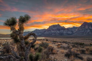 Scenic Drives To Take While Visiting Las Vegas