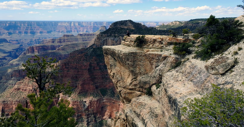 The Grand Canyon's North Rim view. 