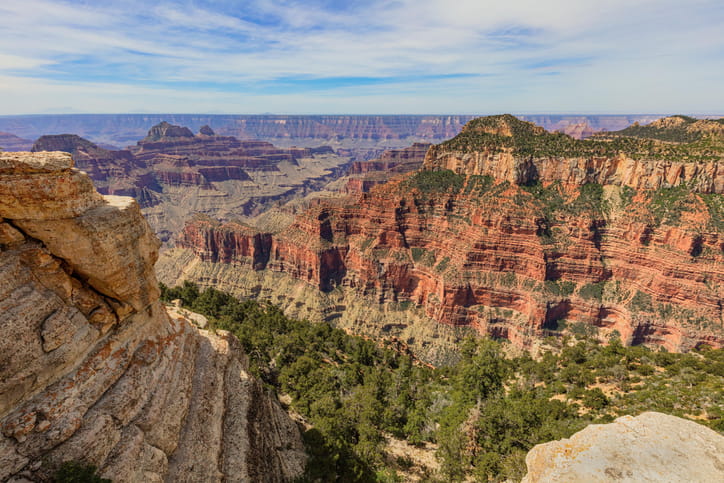 The Grand Canyon's North Rim view. 